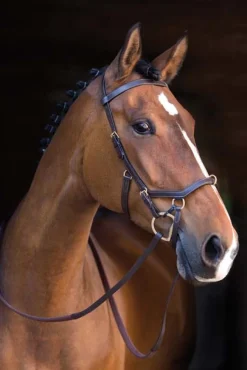 Rambo Original Micklem Multibridle