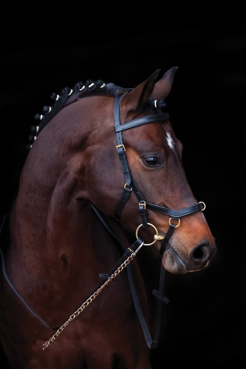 Rambo Original Micklem Multibridle