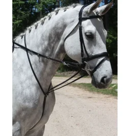 Red Barn German Martingale