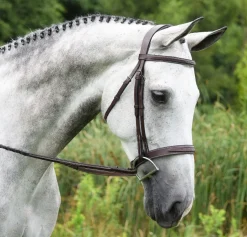 Red Barn Indio Hunter Bridle