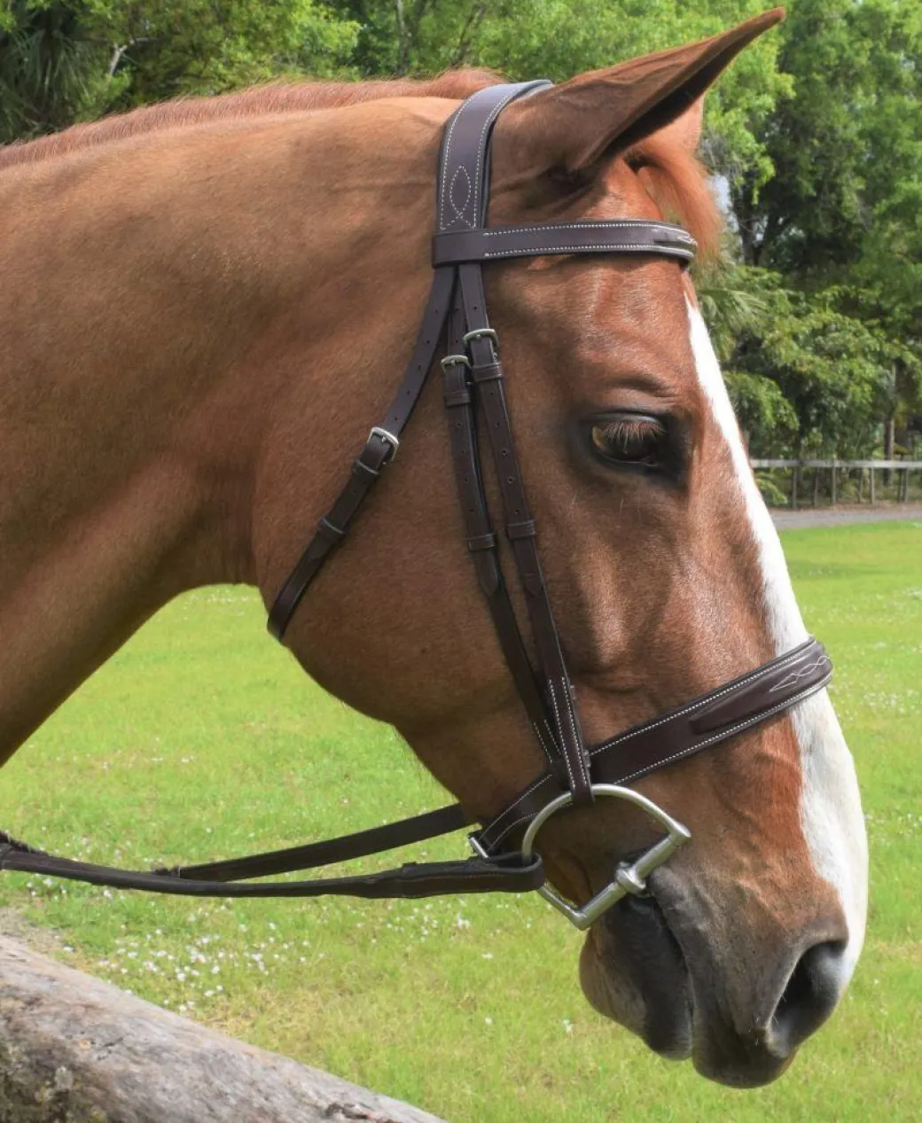 Red Barn Indio Hunter Bridle