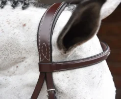 Red Barn Indio Hunter Bridle
