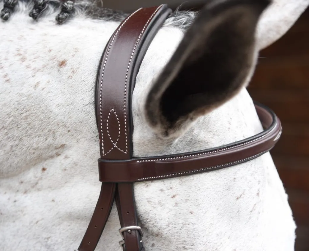 Red Barn Indio Hunter Bridle