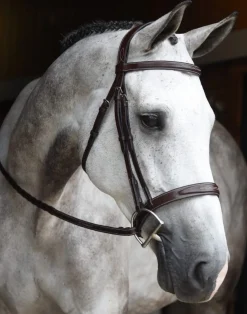 Red Barn Indio Hunter Bridle