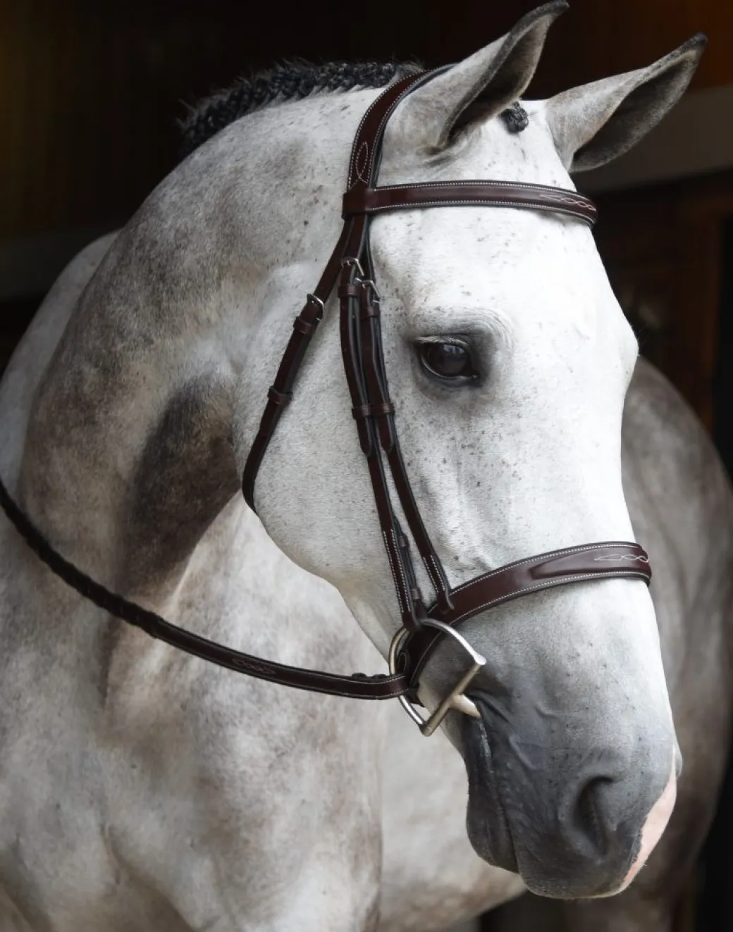 Red Barn Indio Hunter Bridle