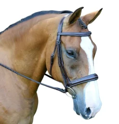 Red Barn Ocala Wide Contour Bridle