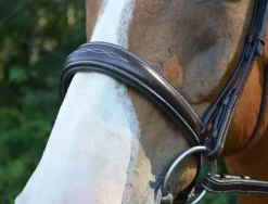 Red Barn Ocala Wide Contour Bridle