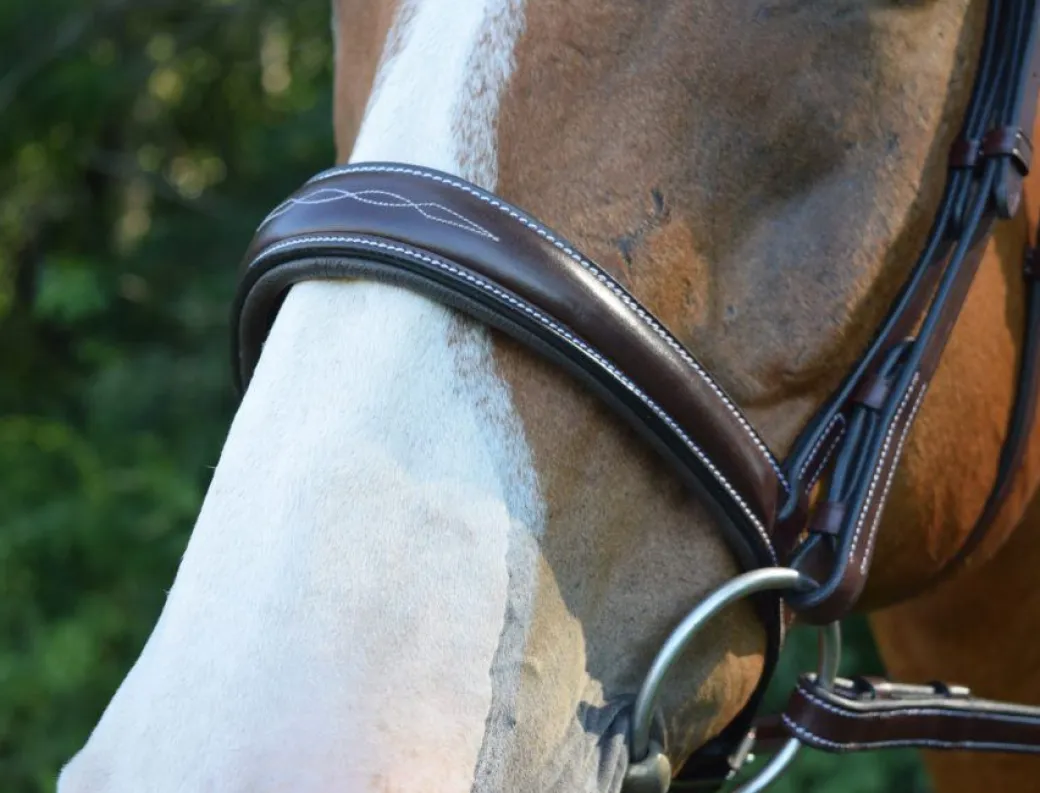 Red Barn Ocala Wide Contour Bridle