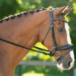 Red Barn Topline Snaffle Bridle