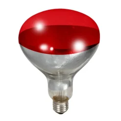 Red Heat Lamp Bulb for Brooder Reflector