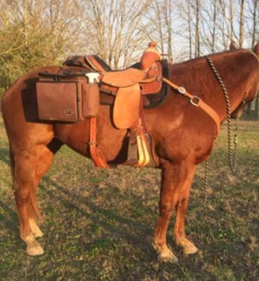 Reinsman Deluxe Insulated Cooler Saddle Bag