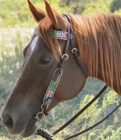 Reinsman Junior Cowhorse Twisted Dogbone Bit