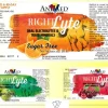 RightLyte Sugar Free Electrolytes