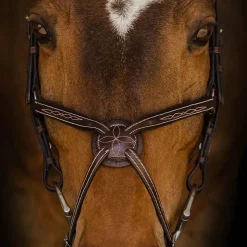 Riviera Equisports Berlin Figure 8 Bridle