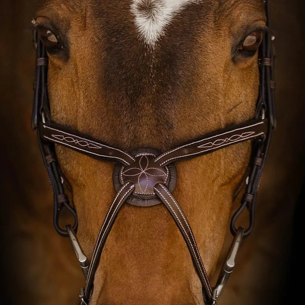 Riviera Equisports Berlin Figure 8 Bridle