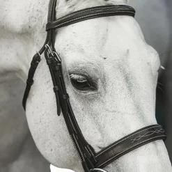 Riviera Equisports Brentwood Hunter Bridle