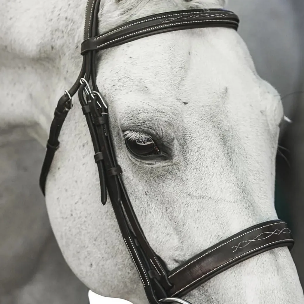 Riviera Equisports Brentwood Hunter Bridle