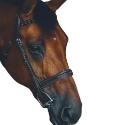 Riviera Equisports Brentwood Hunter Bridle