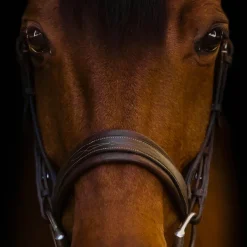 Riviera Equisports Riviera Flash Bridle