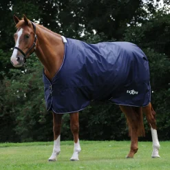 Saxon Defiant 600D Lite Turnout 0g