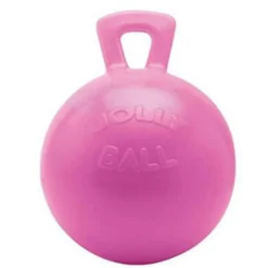 Scented Jolly Ball Horse Toy