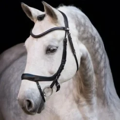 Schockemöhle Equitus Alpha Snaffle Bridle
