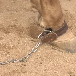 Schutz Brothers AD Kicking Chain