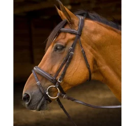 Shires Avignon Louisville Bridle
