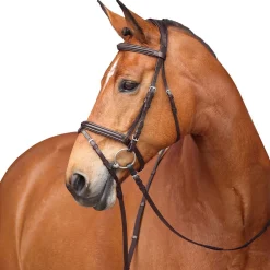 Shires Avignon Louisville Bridle