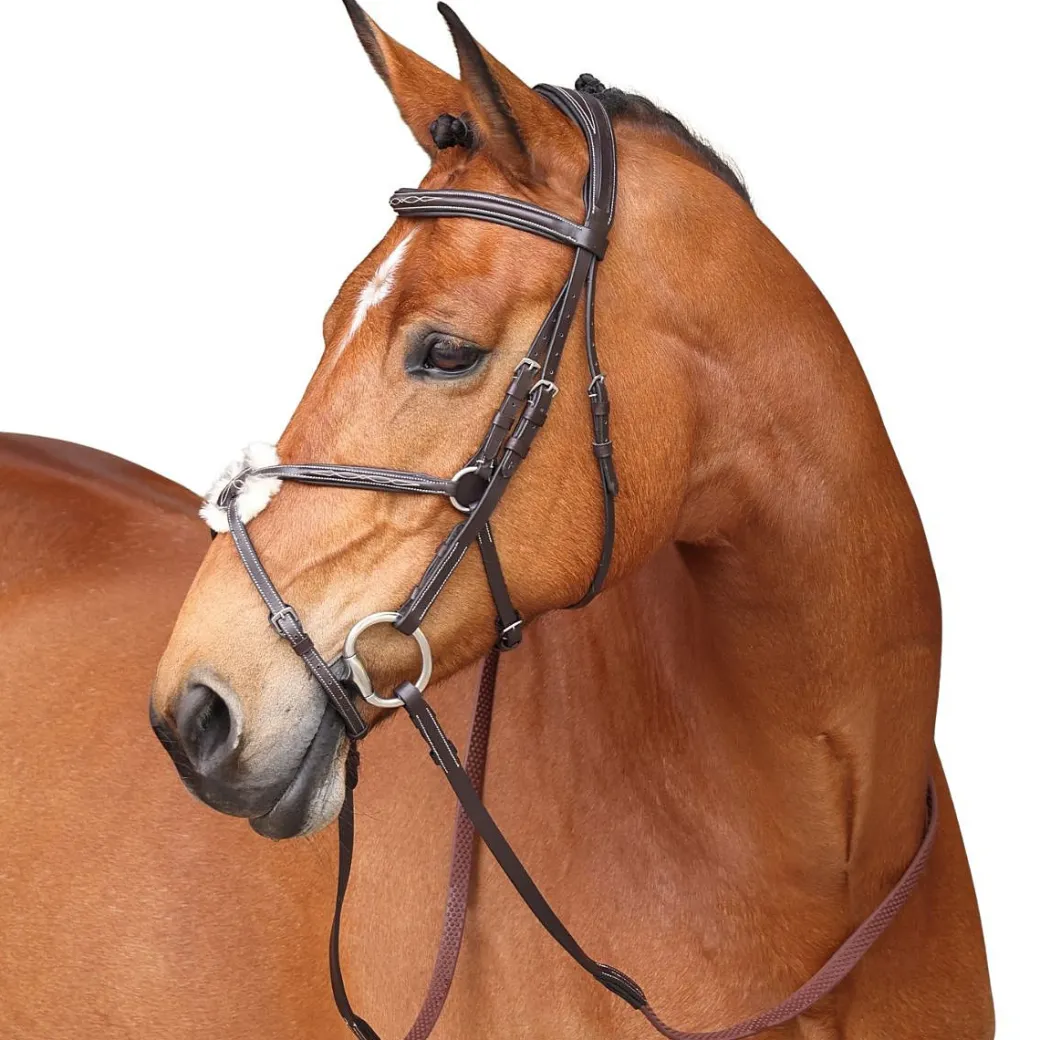Shires Avignon Woodside Bridle