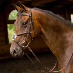 Shires Avignon Woodside Bridle