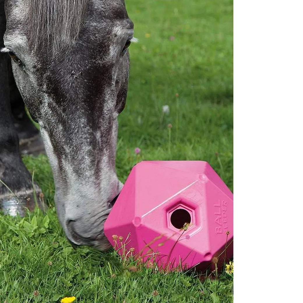 Shires Ball Feeder