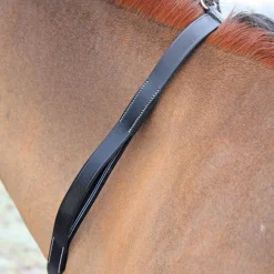 Shires Tapestry Neck Grab Strap