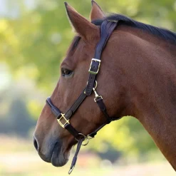 Shires Velociti Lusso Soria Leather Halter