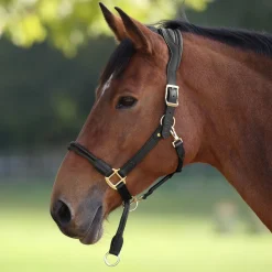 Shires Velociti Lusso Soria Leather Halter