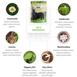 Silver Lining Herbs Equine Gut Support