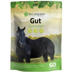 Silver Lining Herbs Equine Gut Support