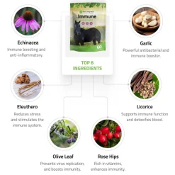 Silver Lining Herbs Equine Immune Support