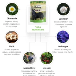 Silver Lining Herbs Equine Kidney Support