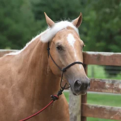 Silvertip Transition Rope Halter with Sliding Ring