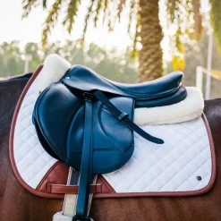 Sixteen Cypress 16C Jumper Pad | Solid Colors