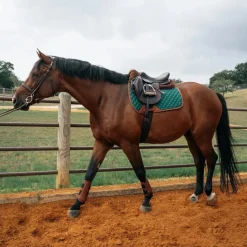 Sixteen Cypress 16C Jumper Pad | Solid Colors