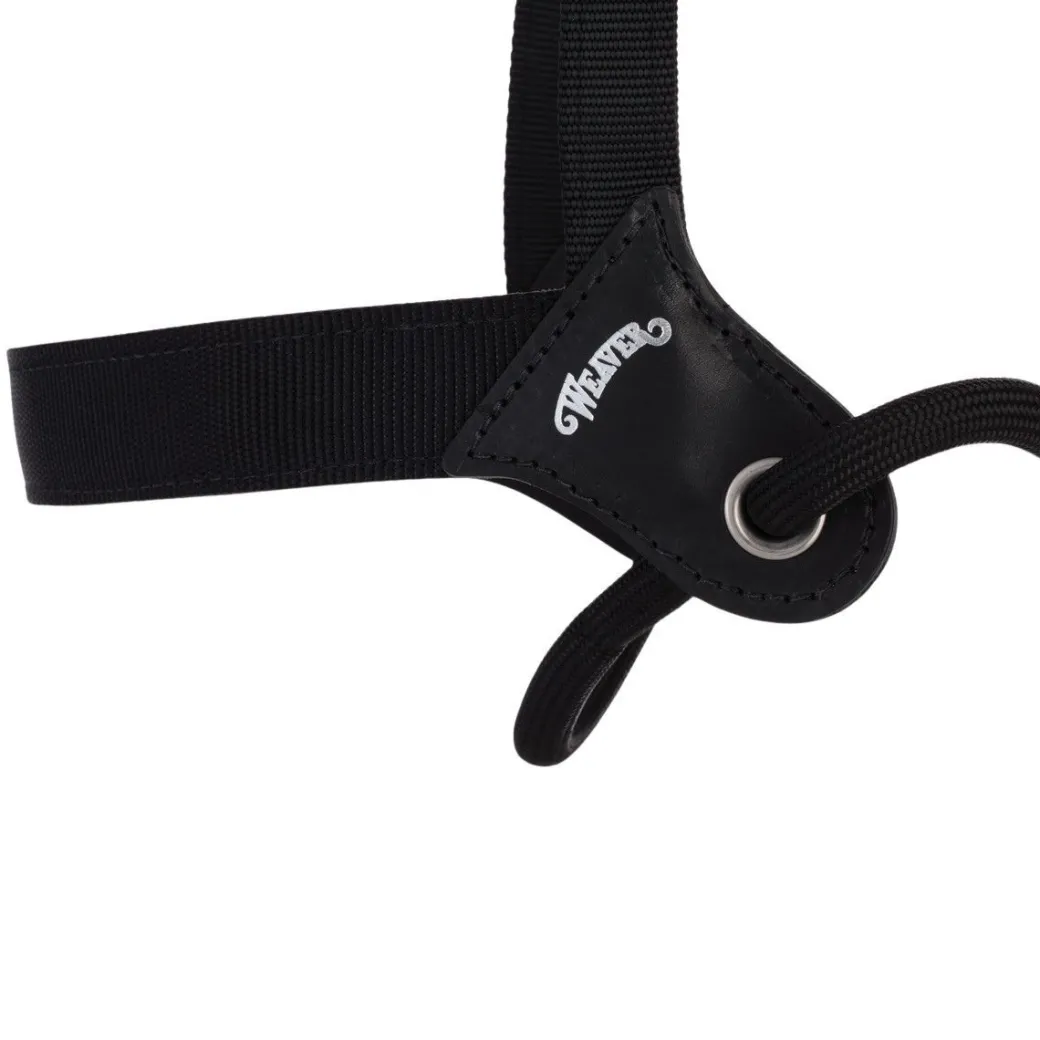 Stacy Westfall Catch Halter