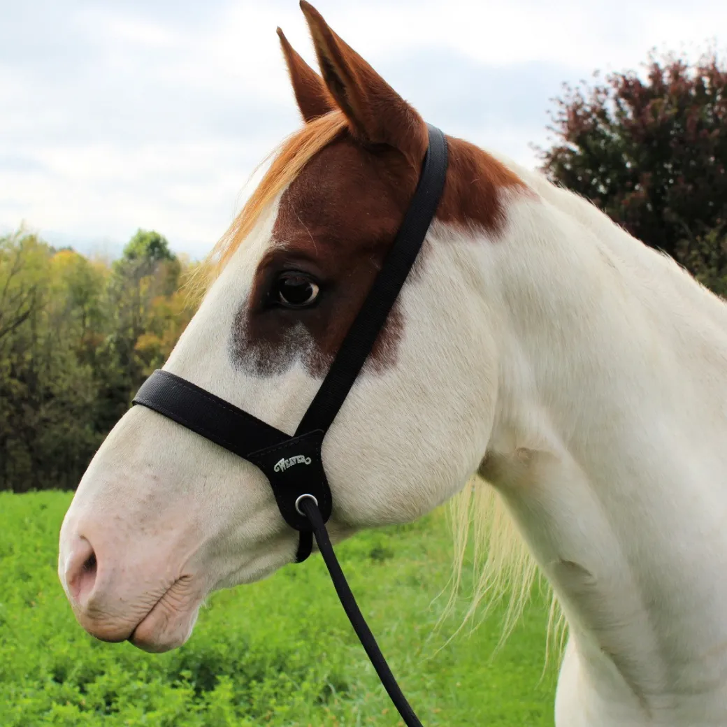 Stacy Westfall Catch Halter