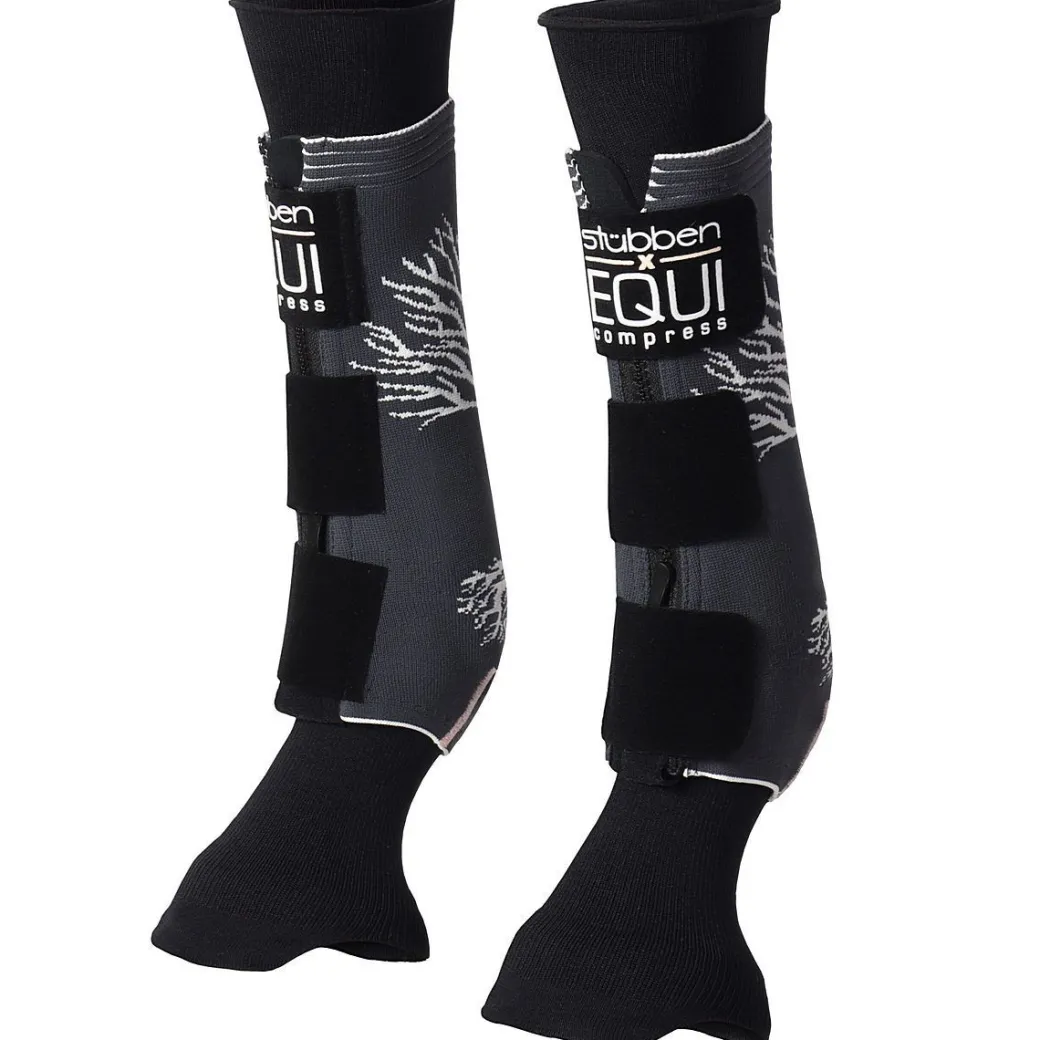 Stübben EQUI Compress Set Hind