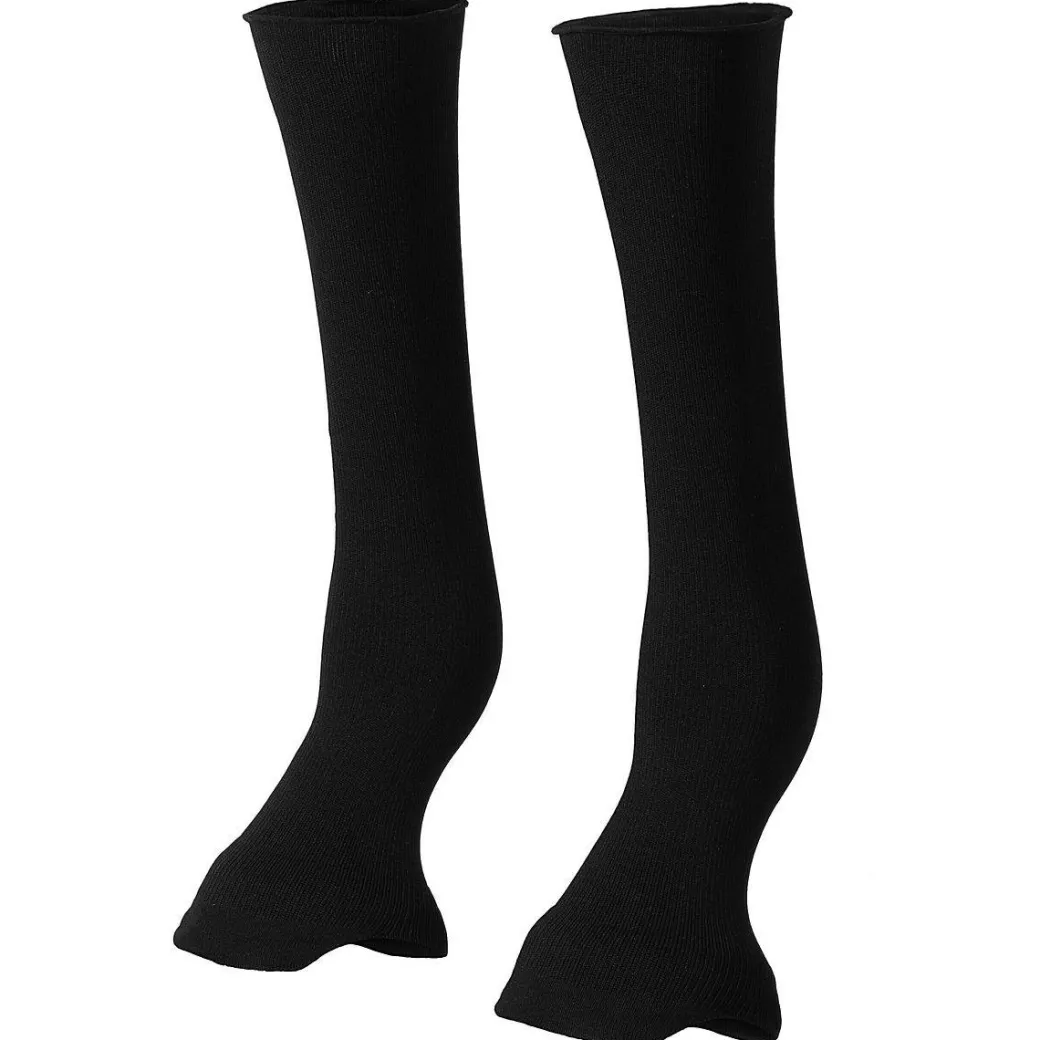 Stübben EQUI Compress Set Hind