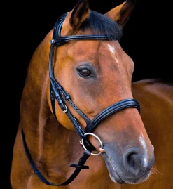 Stübben Freedom Bridle