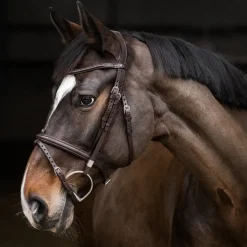 Stübben Pro-Jump Bridle RFS