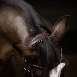 Stübben Pro-Jump Bridle RFS