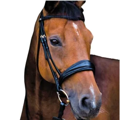 Stübben Switch Snaffle+Weymouth Bridle
